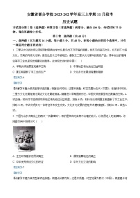 安徽省A10联盟2024届高三上学期11月段考历史试题（Word版附解析）