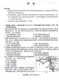 河南省天一大联考2024届高三阶段性测试（四）历史