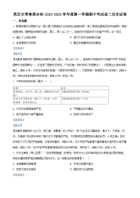 湖北省武汉市常青联合体2023-2024学年高二上学期期中考试历史试卷（Word版附解析）