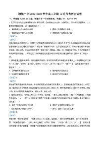 山东省聊城第一中学2023届高三12月月考历史试题（解析版）