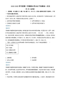 山东省青岛市2022-2023学年高一下学期期末考试历史试题（解析版）
