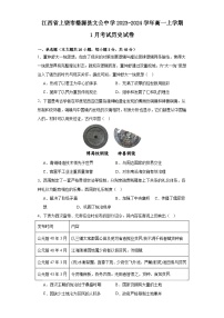 江西省上饶市婺源县文公中学2023-2024学年高一上学期1月考试历史试卷（含解析）