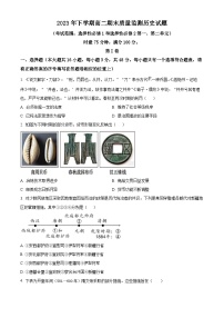 湖南省娄底市新化县2023-2024学年高二上学期期末历史试题（原卷版+解析版）