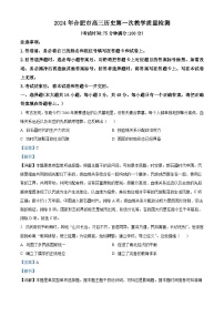2024合肥高三下学期一模考试历史试题含解析