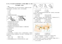 第一单元 古代文明的产生与发展 测试卷（含解析）--2024届高三统编版（2019）必修中外历史纲要下二轮复习