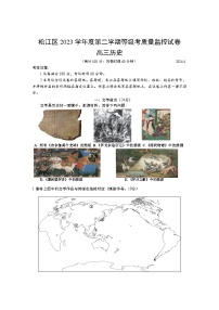 2024年上海市松江区高三下学期高考二模历史试卷含答案