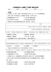 山东省青岛市2024届高三下学期二模历史试卷(含答案)