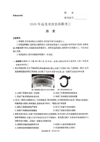 湖南省炎德英才名校联考联合体2024年(届)高三下学期5月高考考前仿真联考(三)历史试题
