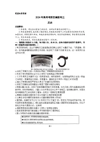2024湖南省炎德名校联盟高三下学期5月高考考前仿真联考（三）历史试题含解析
