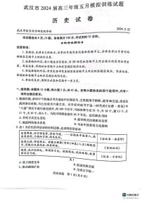 湖北省武汉市2023-2024学年高三下学期五月模拟训练历史试题
