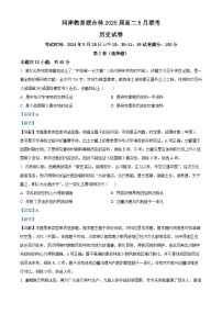 湖北省武汉市新洲区问津联合体2023-2024学年高二下学期5月月考历史试题（Word版附解析）