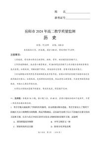 历史丨湖南省岳阳市2025届高三6月教学质量监测暨期末考试历史试卷及答案