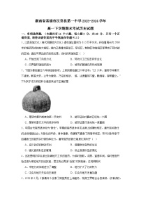 湖南省常德市汉寿县第一中学2023-2024学年高一下学期期末考试历史试题（含答案解析）