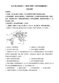 山东省泰安市2025届高三上学期一轮复习仿真模拟历史试题（Word版附解析）