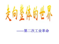 高中历史人民版必修2四 走向整体的世界精品ppt课件
