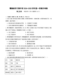 宁夏回族自治区青铜峡市宁朔中学2024-2025学年高二上学期9月月考历史试题