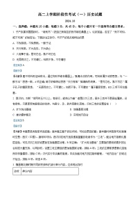 山东省泰安市宁阳县第一中学2024-2025学年高二上学期10月月考历史试题（Word版附解析）