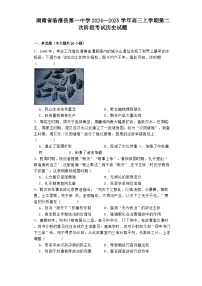 湖南省临澧县第一中学2024--2025学年高三上学期第二次阶段考试历史试题