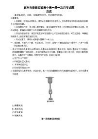 广东省惠州市泰雅实验高中2024-2025学年高一上学期第一次月考历史试题