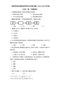 三国两晋南北朝的政权更迭与民族交融--2023-2024学年高三历史二轮（专题训练）（2份，原卷版+解析版）