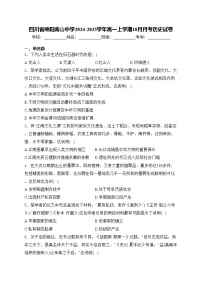 四川省绵阳南山中学2024-2025学年高一上学期10月月考历史试卷(含答案)