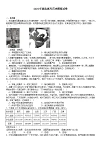 2024年湖北高考历史模拟试卷附答案