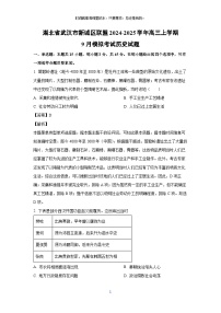 湖北省武汉市新城区联盟2024-2025学年高三上学期9月模拟考试历史试题（解析版）