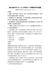 湖北省咸宁市2023-2024学年高一下学期期末历史试卷(解析版)