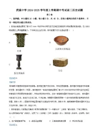 河北省衡水市武强中学2024-2025学年高三上学期期中考试历史试题（Word版附解析）