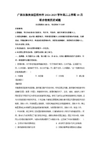 广西壮族自治区梧州市2024-2025学年高二上学期10月联合检测历史试卷(解析版)