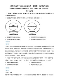 湖南省长沙市师范大学附属中学2024-2025学年高二上学期第一次大练习历史试卷（Word版附解析）