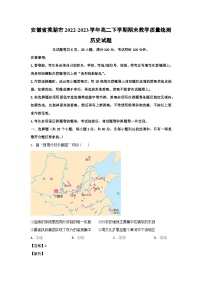 安徽省芜湖市2022-2023学年高二下学期期末教学质量统测历史试卷(解析版)