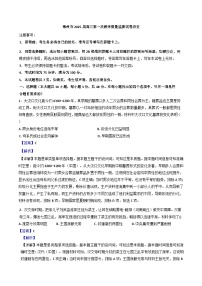 湖南省郴州市2024-2025学年高三上学期第一次教学质量监测历史试卷（解析版）