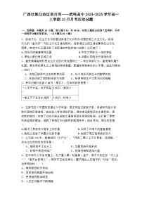 广西壮族自治区贵百河——武鸣高中2024-2025学年高一上学期10月月考历史试题(含解析)