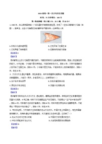 辽宁省凤城市第二中学2024-2025学年高一上学期第一次月考历史试题（解析版）