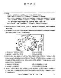 2025九师联盟高三上学期10月联考历史试题及答案