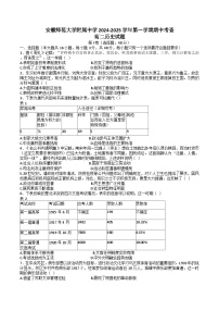 安徽师范大学附属中学2024-2025学年高二上学期期中考试历史试题