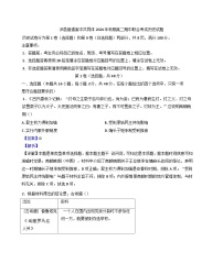四川省泸州市泸县2024-2025学年高二上学期期中统一联合考试历史试题（解析版）