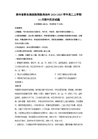 贵州省黔东南苗族侗族自治州2024-2025学年高二上学期11月期中 历史试卷（解析版）