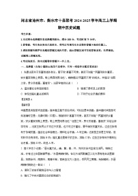 河北省沧州市、衡水市十县联考2024-2025学年高三上学期期中历史试卷(解析版)