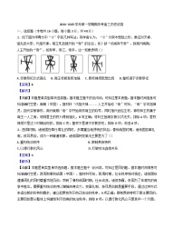 福建省厦门市湖滨中学2024-2025学年高三上学期期中考试历史试题（解析版）