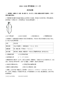 湖北省武汉市江岸区2024-2025学年高三上学期11月调考历史试题（Word版附答案）