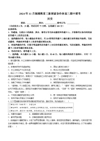 湖南省湖湘教育三新探索协作体（A佳教育）2024-2025学年高二上学期11月期中大联考历史试卷（Word版附解析）