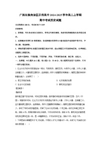 2024-2025学年广西壮族自治区示范高中高二(上)期中考试历史试卷（解析版）