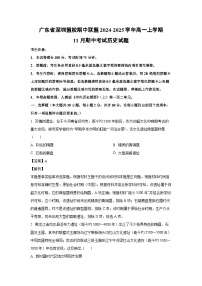 2024-2025学年广东省深圳盟校期中联盟高一(上)11月期中考试历史试卷（解析版）