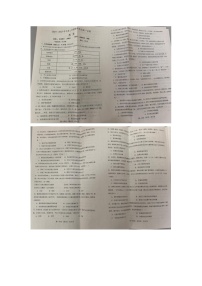 辽宁省2024-2025学年高一上学期期中考试历史试题