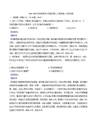 安徽省蚌埠市A层学校2024-2025学年高一上学期期中考试历史试题（解析版）