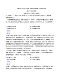安徽省合肥市六校联盟2024-2025学年高二上学期期中考试历史试题（解析版）