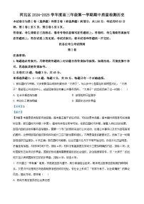 天津市河北区2024-2025学年高三上学期11月期中考试  历史  Word版含解析