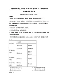 2024~2025学年广西壮族自治区北海市高三(上)毕业班摸底测试历史试卷(解析版)